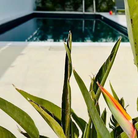 Villa Luxury 4 Bdr Nerida