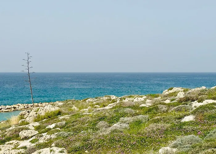 Luxury 4 Bdr Nerida 빌라